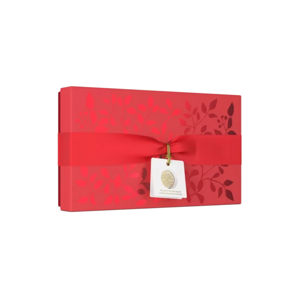 THE RITUAL OF AYURVEDA