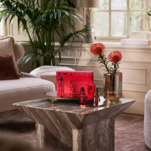 THE RITUAL OF AYURVEDA